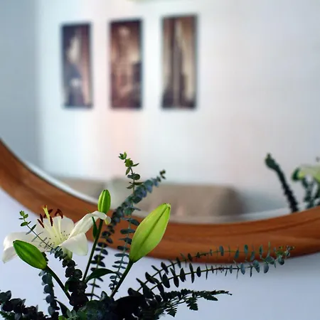 El Marques San Juan Appartement